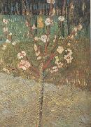 Vincent Van Gogh Almond Tree in Blossom (nn04) Spain oil painting artist